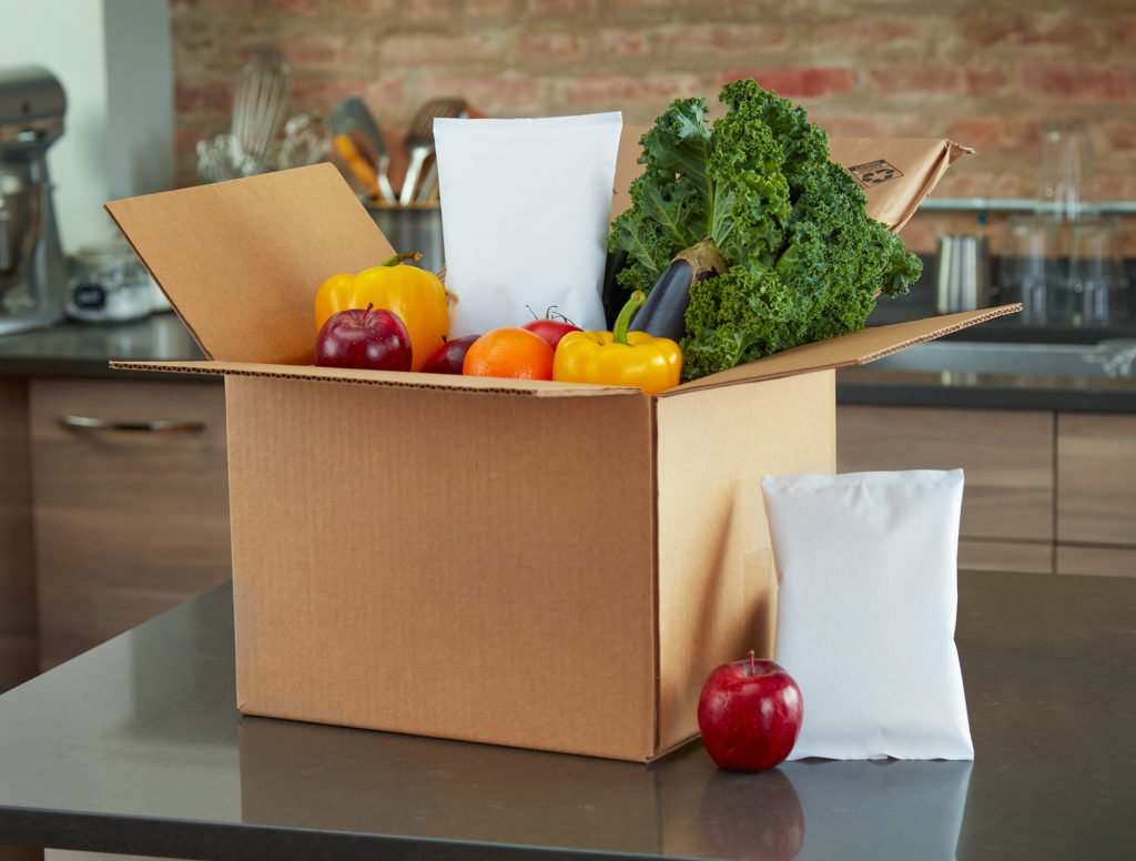 Cold Chain Ice Packs