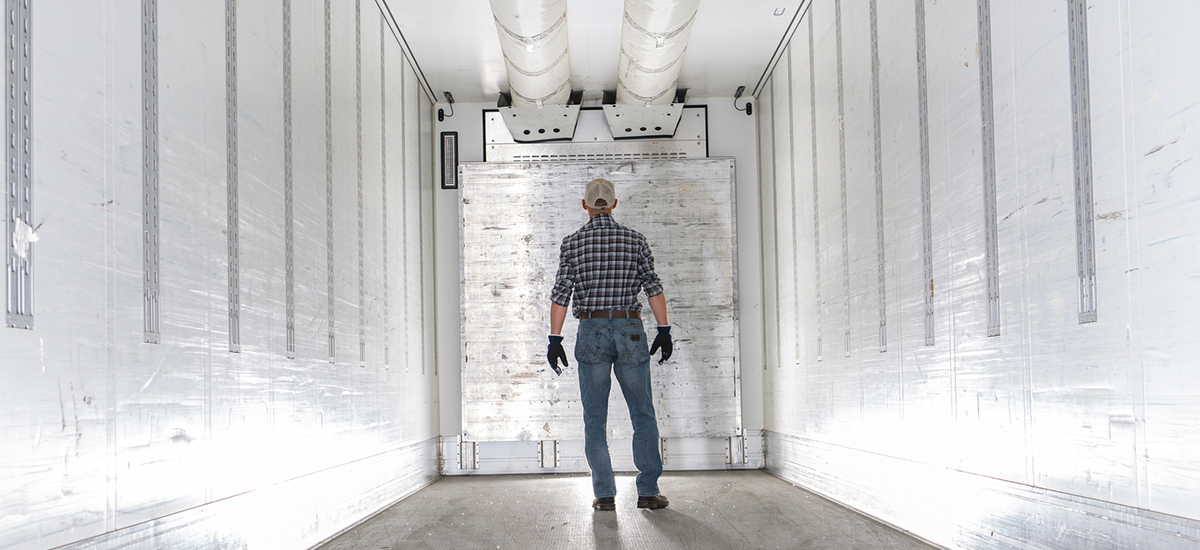 Freight forwarding cold chain guide.